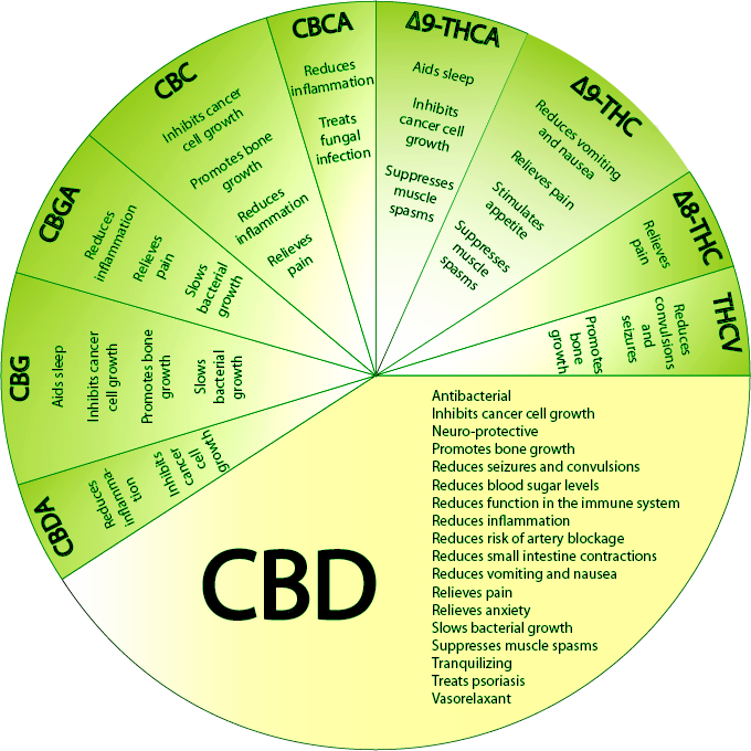 What Are Terpenes & How Do They Affect CBD Vaping?