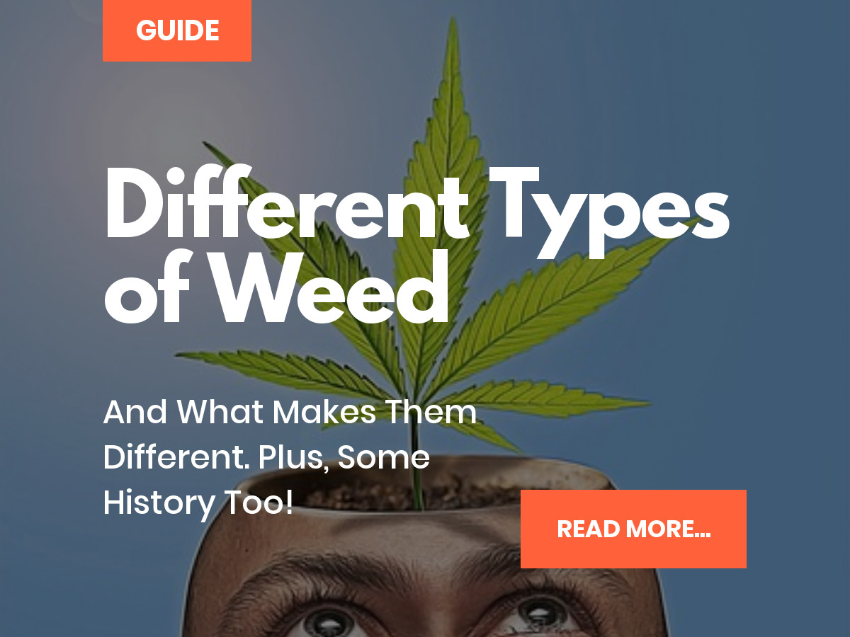 types of weed