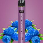 20mg Bud Vape Ciggy Disposable Vape Device 600 Puffs