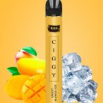20mg Bud Vape Ciggy Disposable Vape Device 600 Puffs