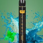 20mg Bud Vape Ciggy Disposable Vape Device 600 Puffs