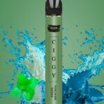 20mg Bud Vape Ciggy Disposable Vape Device 600 Puffs