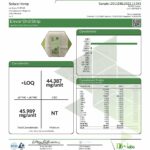 Elevar Leafs 125mg CBD Oral Strips