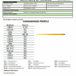 CBD Asylum 2000mg CBD Pro Oil 20ml (BUY 1 GET 2 FREE)