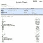 LVWell CBD Silver Seal 3000mg 30ml Hemp Seed Oil