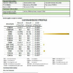 Orange County CBD 1500mg 30ml MCT Oil - Organic Coconut Oil