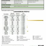 Orange County CBD 6000mg 30ml MCT Oil - Organic Coconut Oil