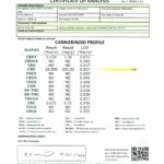 Aztec CBD Full Spectrum Hemp Oil 2000mg CBD 10ml