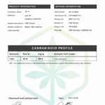 Dr K CBD Lemon Golden Standard 300mg CBD Oil - 30ml