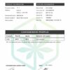 Dr K CBD Peppermint Golden Standard 1000mg CBD Oil - 30ml - Image 2