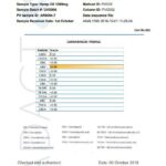 LVWell CBD 1000mg 10ml Max Hemp Seed Oil