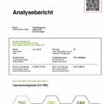 Little Rick 32mg CBD Sparkling Cola (24 Can Pack)