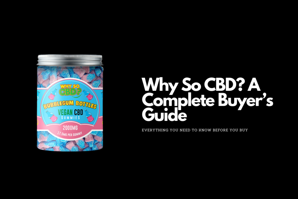 Why So CBD? A Complete Buyer’s Guide (2024)
