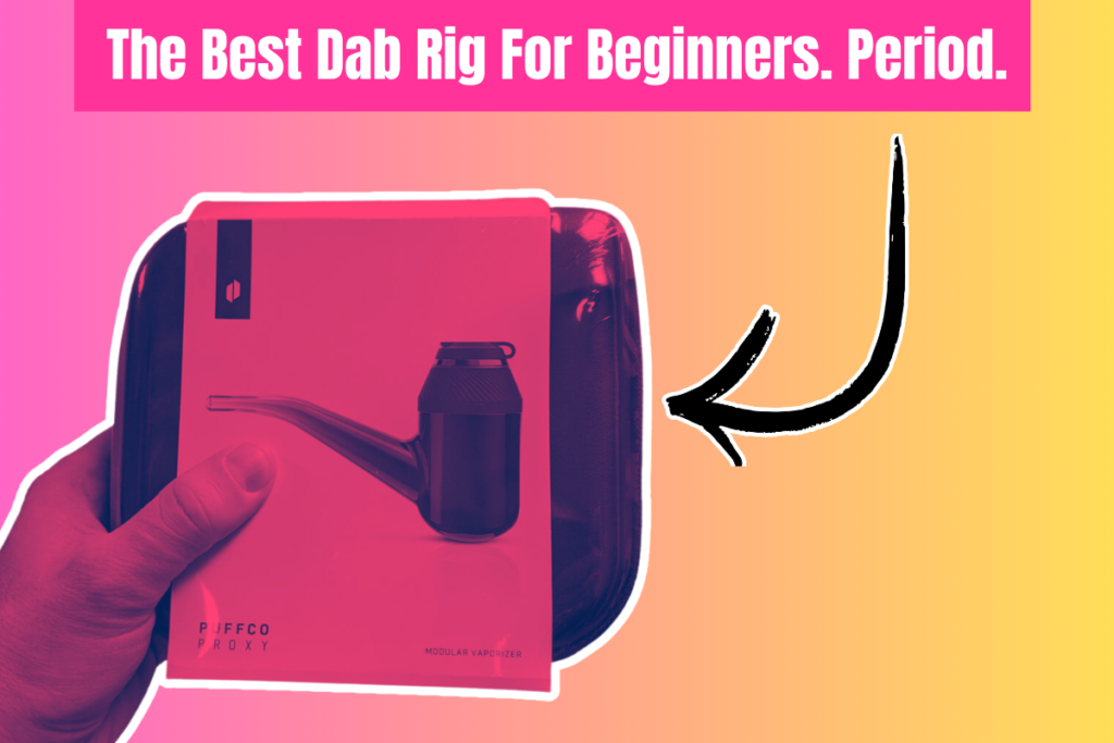 best dab rig for beginners