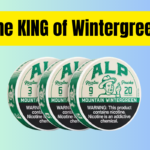 best wintergreen nic pouch