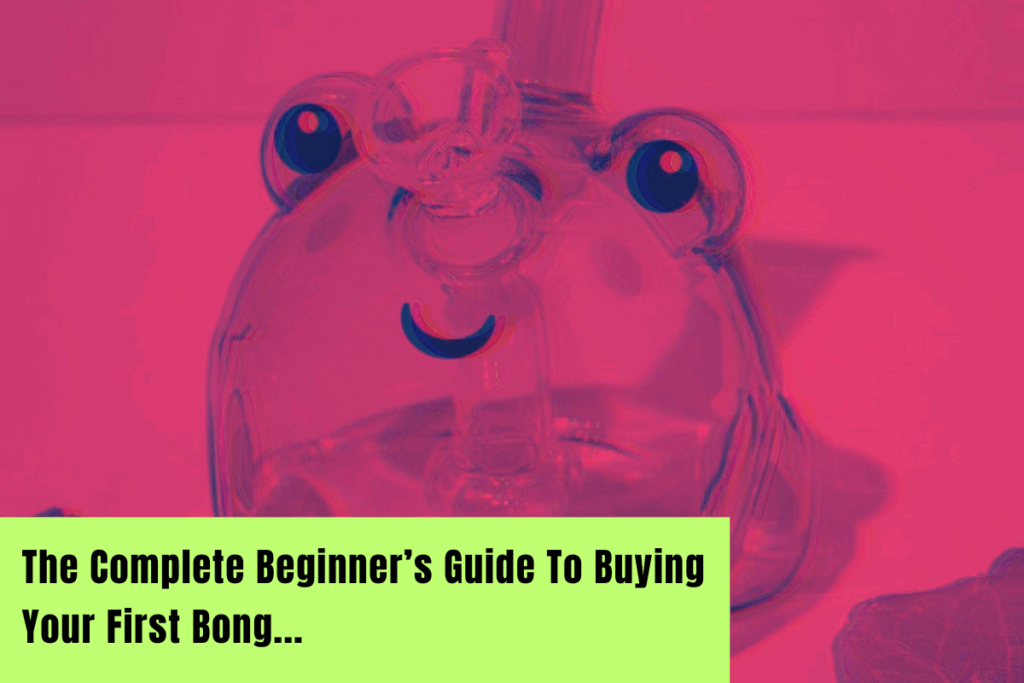 Buying Your First Bong: The Ultimate Beginner’s Guide…