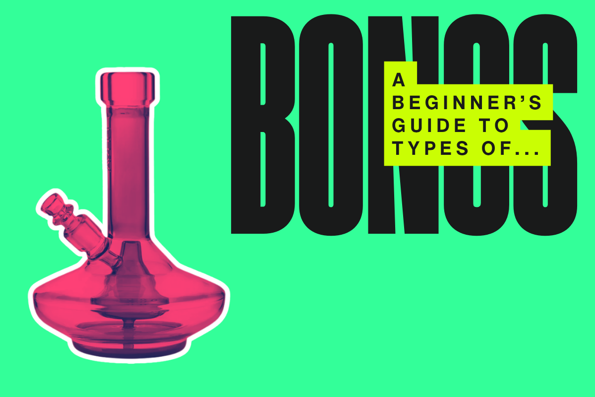Types of Bongs: How To Choose The Right One For You