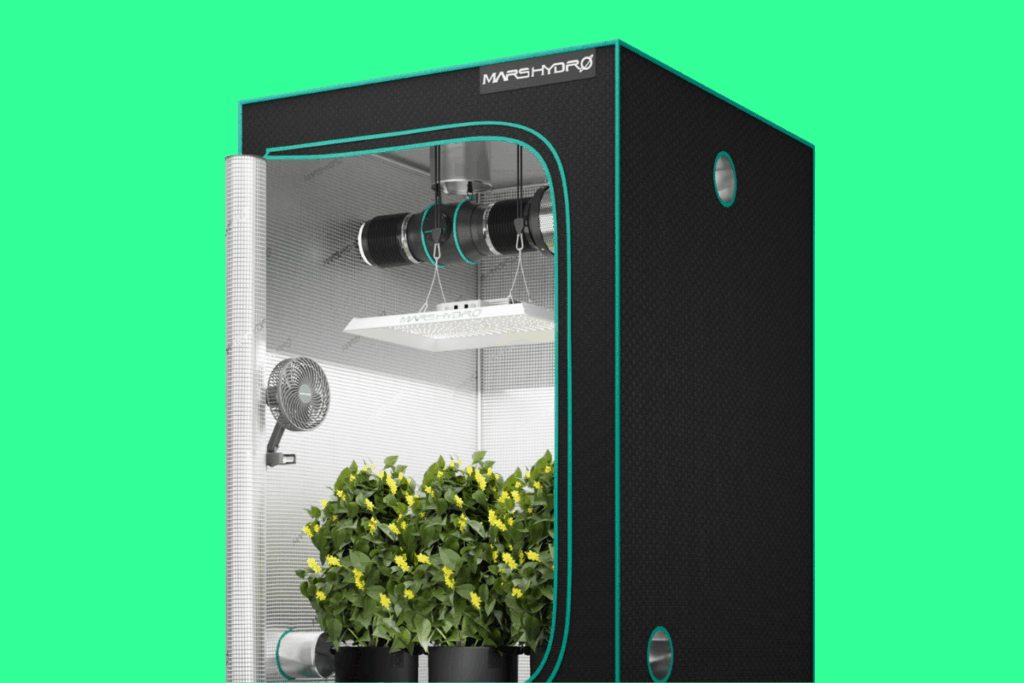 Top 5 Weed Seeds That Perform Best in Small Indoor “Tech Grow” Setups