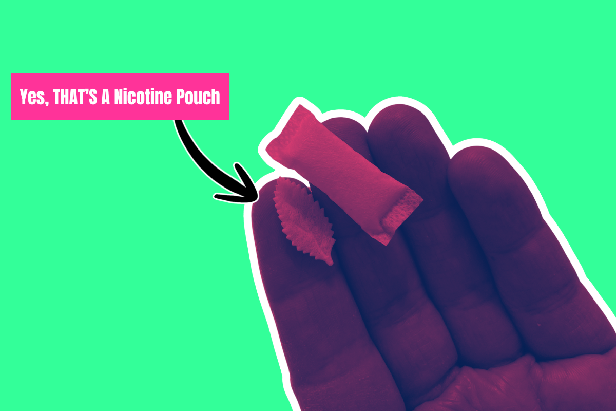 Which Nicotine Pouch Hits The Quickest? My Experience + Data Studies