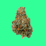 Highest Yielding Autoflower Strains for Vapers: Grow Your Own, Save Some Coin!